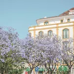 Отель Jardim Лоле